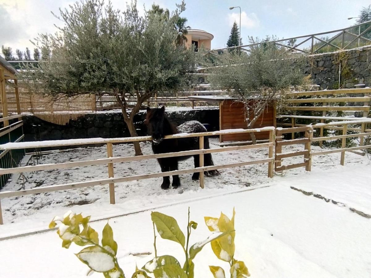 Aurora Dell'Etna Acomodação com café da manhã Zafferana Etnea Exterior foto