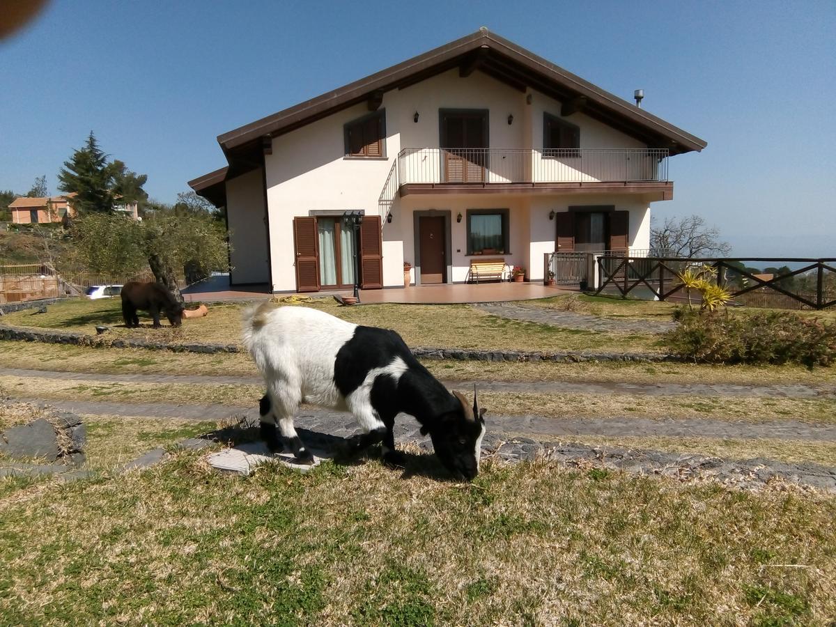 Aurora Dell'Etna Acomodação com café da manhã Zafferana Etnea Exterior foto